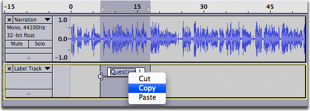 image of contextual menu in a label with Copy selected