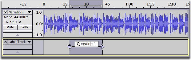 image of label in label track ready for Edit Cut