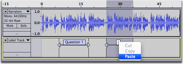 image of new label and contextual menu ready to paste text into the label