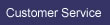 Customer Service