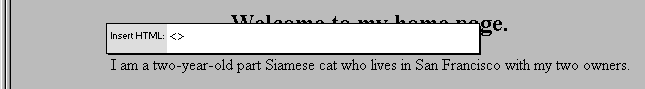 The Quick Tag Editor in Insert HTML mode